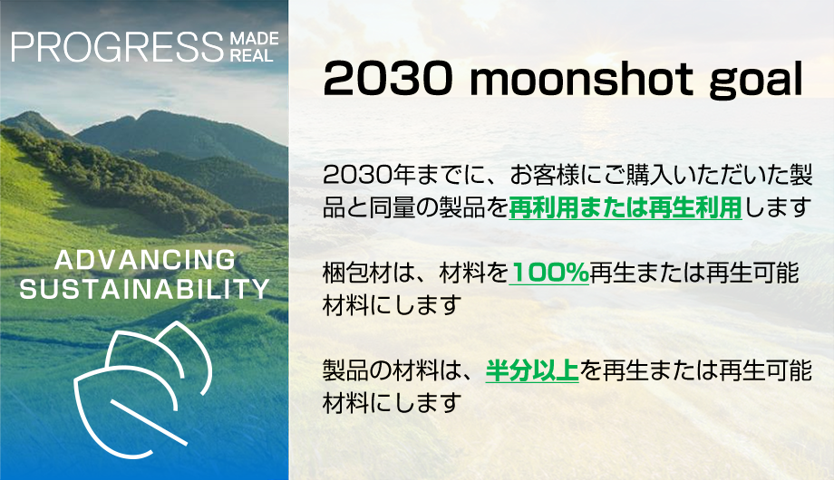 2030 moonshot goal
